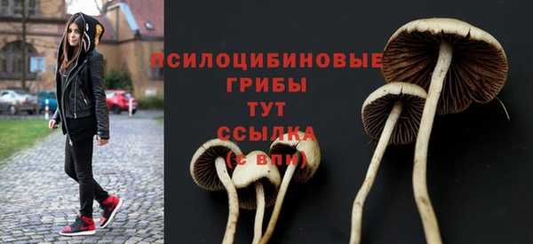 амф Нягань