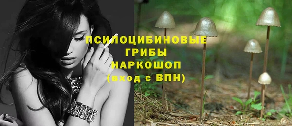 стаф Балахна